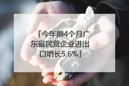 今年前4个月广东省民营企业进出口增长5.6%