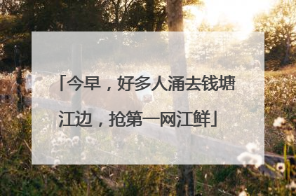今早，好多人涌去钱塘江边，抢第一网江鲜