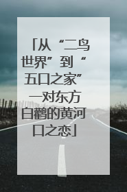 从“二鸟世界”到“五口之家” 一对东方白鹳的黄河口之恋