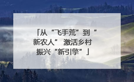 从“飞手荒”到“新农人” 激活乡村振兴“新引擎”