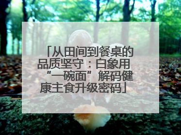 从田间到餐桌的品质坚守：白象用“一碗面”解码健康主食升级密码