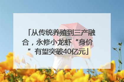 从传统养殖到三产融合，永修小龙虾“身价”有望突破40亿元