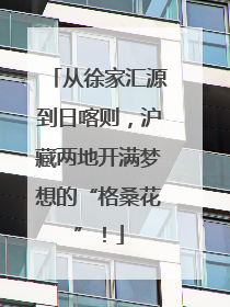 从徐家汇源到日喀则，沪藏两地开满梦想的“格桑花”！