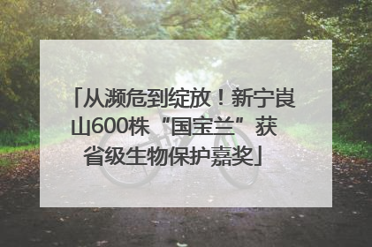 从濒危到绽放！新宁崀山600株“国宝兰”获省级生物保护嘉奖