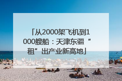 从2000架飞机到1000艘船：天津东疆“租”出产业新高地