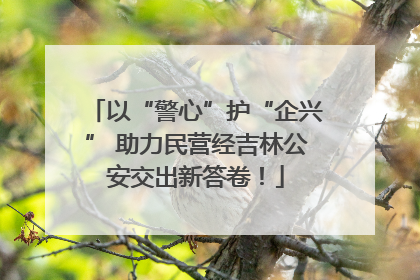 以“警心”护“企兴” 助力民营经吉林公安交出新答卷！