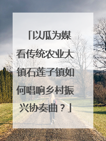 以瓜为媒 看传统农业大镇石莲子镇如何唱响乡村振兴协奏曲？