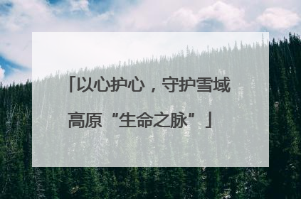 以心护心，守护雪域高原“生命之脉”