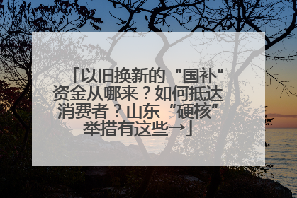 以旧换新的“国补”资金从哪来？如何抵达消费者？山东“硬核”举措有这些→