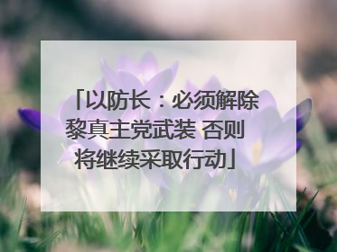 以防长：必须解除黎真主党武装 否则将继续采取行动