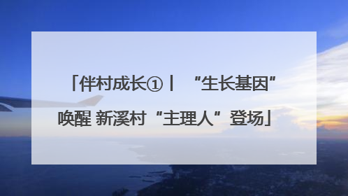 伴村成长①丨 “生长基因”唤醒 新溪村“主理人”登场