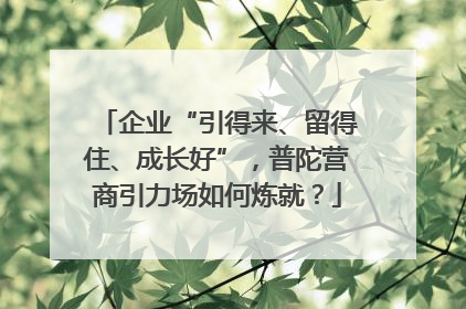 企业“引得来、留得住、成长好”，普陀营商引力场如何炼就？