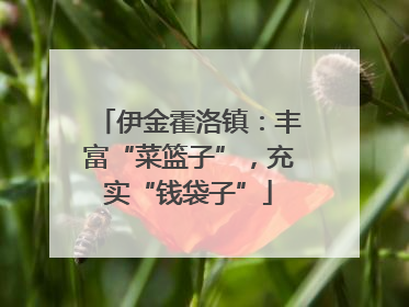 伊金霍洛镇：丰富“菜篮子”，充实“钱袋子”