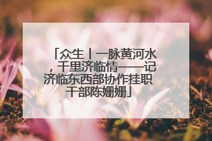 众生丨一脉黄河水，千里济临情——记济临东西部协作挂职干部陈姗姗