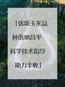 优新玉米品种落地昌平 科学技术指导助力丰收