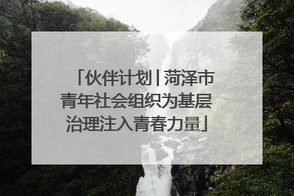 伙伴计划│菏泽市青年社会组织为基层治理注入青春力量