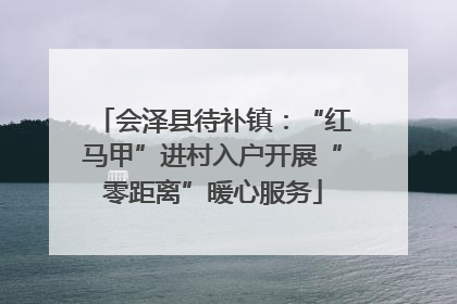会泽县待补镇：“红马甲”进村入户开展“零距离”暖心服务
