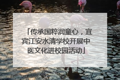 传承国粹润童心，宜宾江安水清学校开展中医文化进校园活动