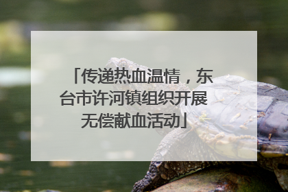 传递热血温情，东台市许河镇组织开展无偿献血活动