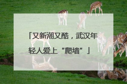 又新潮又酷，武汉年轻人爱上“爬墙”