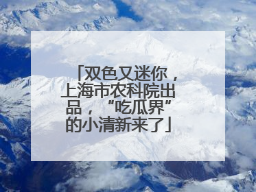 双色又迷你，上海市农科院出品，“吃瓜界”的小清新来了