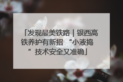 发现最美铁路｜银西高铁养护有新招 “小液捣”技术安全又准确