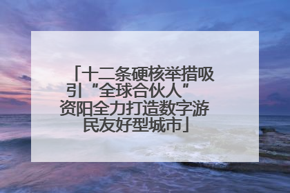 十二条硬核举措吸引“全球合伙人” 资阳全力打造数字游民友好型城市