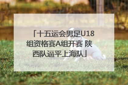 十五运会男足U18组资格赛A组开赛 陕西队逼平上海队