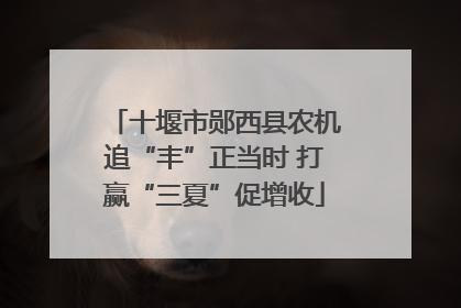 十堰市郧西县农机追“丰”正当时 打赢“三夏”促增收