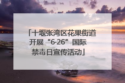 十堰张湾区花果街道开展“6·26”国际禁毒日宣传活动
