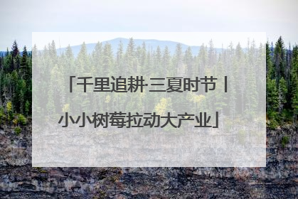 千里追耕·三夏时节丨小小树莓拉动大产业