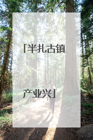 半扎古镇产业兴