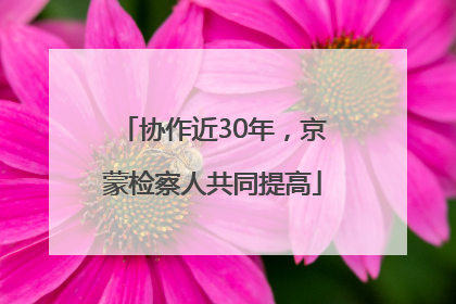 协作近30年，京蒙检察人共同提高
