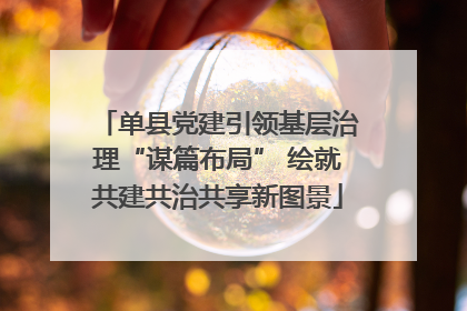 单县党建引领基层治理“谋篇布局” 绘就共建共治共享新图景