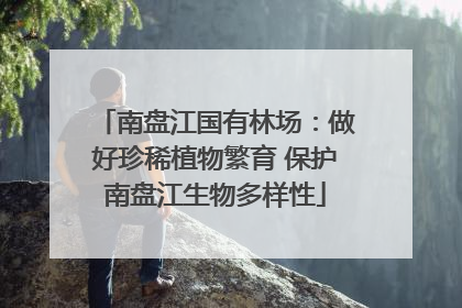 南盘江国有林场：做好珍稀植物繁育 保护南盘江生物多样性