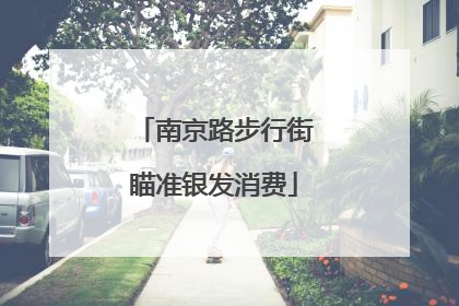 南京路步行街瞄准银发消费