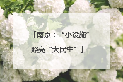 南京：“小设施”照亮“大民生”