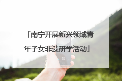 南宁开展新兴领域青年子女非遗研学活动