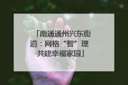 南通通州兴东街道：网格“智”理 共建幸福家园