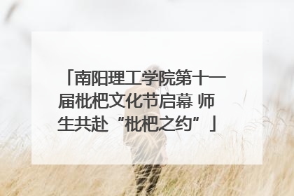 南阳理工学院第十一届枇杷文化节启幕 师生共赴“枇杷之约”