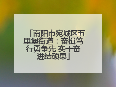 南阳市宛城区五里堡街道：奋楫笃行勇争先 实干奋进结硕果
