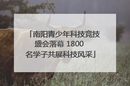 南阳青少年科技竞技盛会落幕 1800 名学子共展科技风采