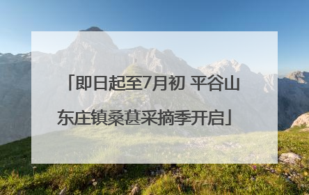 即日起至7月初 平谷山东庄镇桑葚采摘季开启