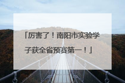 厉害了！南阳市实验学子获全省预赛第一！