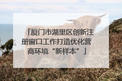 厦门市湖里区创新注册窗口工作打造优化营商环境“新样本”