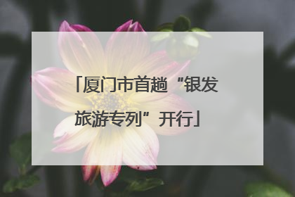 厦门市首趟“银发旅游专列”开行