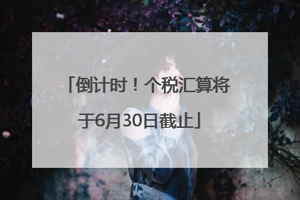 倒计时！个税汇算将于6月30日截止