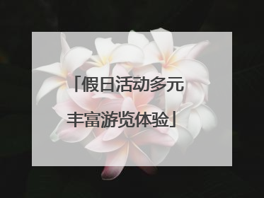 假日活动多元 丰富游览体验