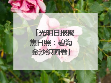 光明日报聚焦日照：碧海金沙织画卷