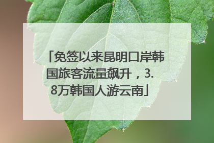 免签以来昆明口岸韩国旅客流量飙升，3.8万韩国人游云南